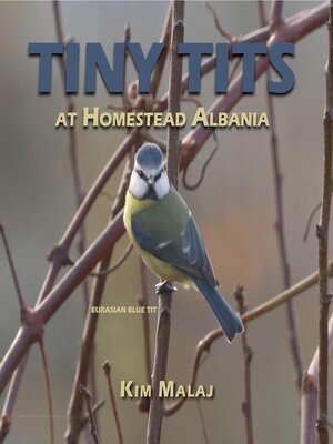 cover image of Tiny Tits at Homestead Albania